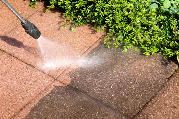 Best House Pressure Washing  in Culpeper, VA
